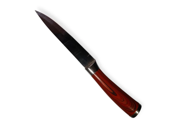 Фото 1 - Кухонний ніж з гладкою ручкою із дерева 24 см