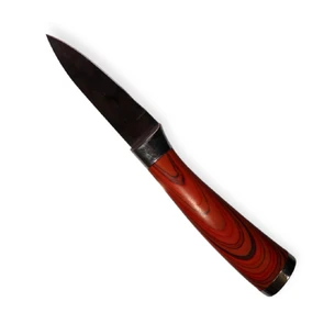 Кухонный нож с гладкой деревянной ручкой 20 см