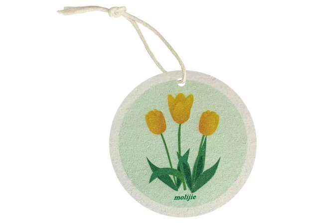 Фото 1 - Кругла губка із стиснутої деревної целюлози