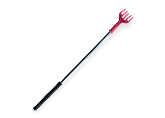 Фото 1 - Чесалка для спини у вигляді руки , MT-0625-1